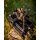 Boatman Bait Spreader